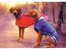 ������ ��� ����� .jpg 1000�