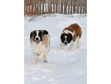 ����������� 006 (�����).jpg