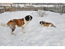 ����������� 016 (�����).jpg