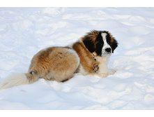 ����������� 028 (�����).jpg