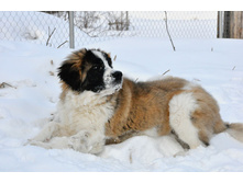 ����������� 037 (�����).jpg