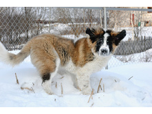 ����������� 050 (�����).jpg