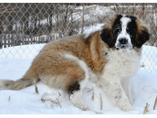 ����������� 051 (�����).jpg