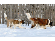 ����������� 053 (�����).jpg