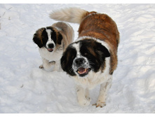 ����������� 068 (�����).jpg