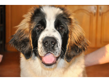 ����������� 084 (�����).jpg