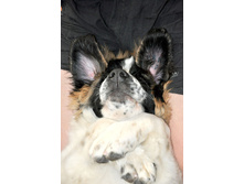 ����������� 101 (�����).jpg