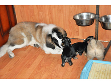 ����������� 109 (�����).jpg