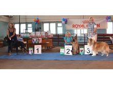 DSC_03861 ��.jpg