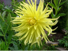 �������� ������.JPG