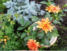 �������� ��������.JPG