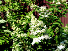 ��������� ���. ����.JPG