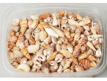 ����� �������.jpg