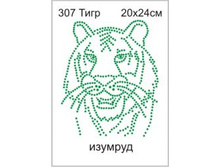 307�� - 165.00 ���.