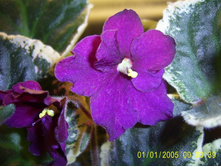 ��-���Σ��� ��ˣ�