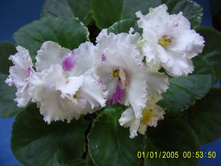 ��� �������� ��� �������� ��� �������