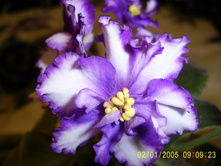 ��-������ ���������(�����)����.����-25