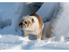 ��� ������ �� �������� 065.JPG