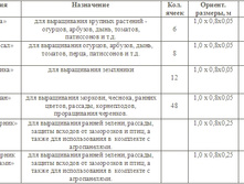 ���� �����������.jpg