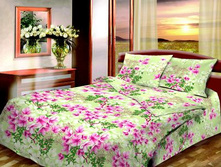 �������� ���