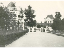 � ������ ����� ����� �������. �������� 1960