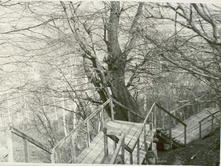 ��������. ������ 1969