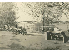 ����������.�������� 1965