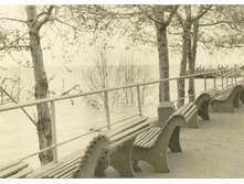 ����������. 1966