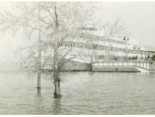 ���������. ������ 1977�.