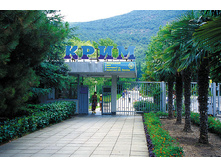 ���� �� ��������� ��������� ����