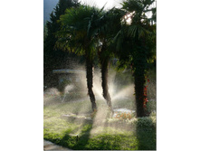 ������ ����, ��� �� ����, �� ������ ����� �������