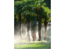 ��� ���� ������ ��������:)