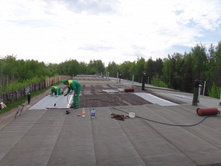 ���� ����� 413-62-19