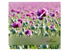 191���. ��� 65116 V ���������� Image Art 10� ����� 188 �����.jpg