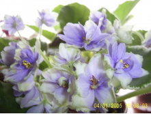 Ma s  Vinter  Moon (������ ����)