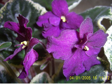 ��_���Σ��� ��ˣ�-���� ����� �������!