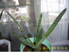 ��������-80