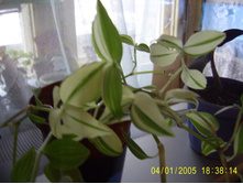 ������������-������