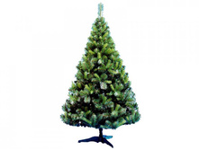 ���� ���������.jpg