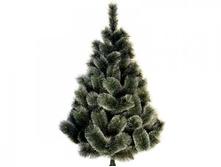 ���� �������� � ����������.jpg