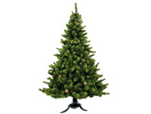 ���� ������.jpg