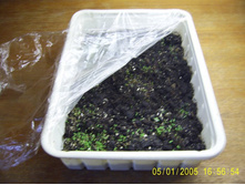 ������ ������� ������� 6 ���� �����