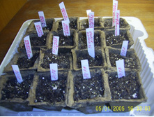 ������� ������ � �������� ������� ������