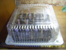 ��� ����� ������� ��������