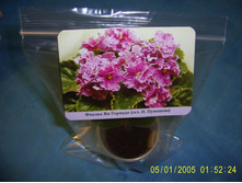 �������-���� ���������� ������ �����-25���