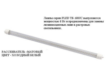 PLED T8- 600JC 8w 72led FROST 4000K 220-240V