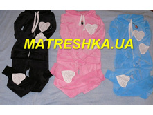 ������ ����� � �������� 2250�.JPG