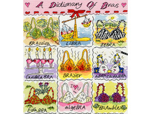 Dictionary of…Bras