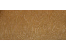 ���������� ���� �����.jpg