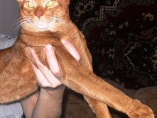 ����������� 068.jpg